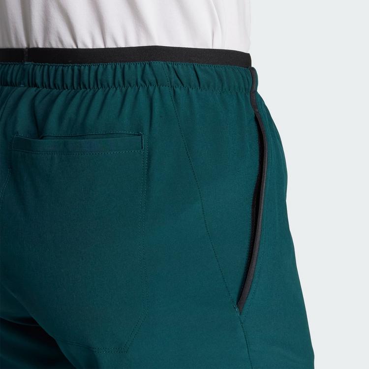 adidas adidas Terrex Multi Liteflex Hose Wanderhose Damen - Aurora Ivy - 1 | SportScheck