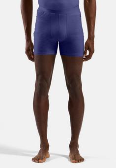 Rückansicht von Odlo Thermounterhose Herren Skipper Blue(21119)