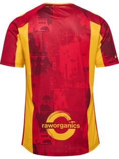Rückansicht von hummel CSC 24/25 HOME JERSEY SS Funktionsshirt TRUE RED/SPORTS YELLOW W/SPONS