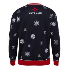 Rückansicht von hummel ASTRALIS 24 CHRISTMAS SWEATER Hoodie MARINE
