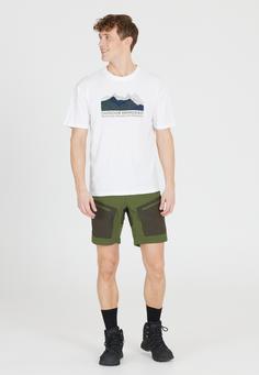 Rückansicht von Whistler Kodiak Shorts Herren 3247 Cypress