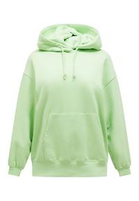 Peak Performance Sweatshirt Damen - pastellgruen