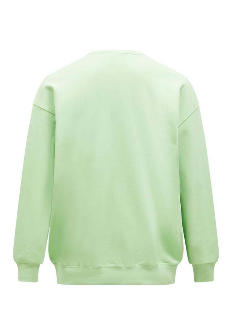 Peak Performance Peak Performance Sweatshirt Herren - pastellgruen - 0 | SportScheck