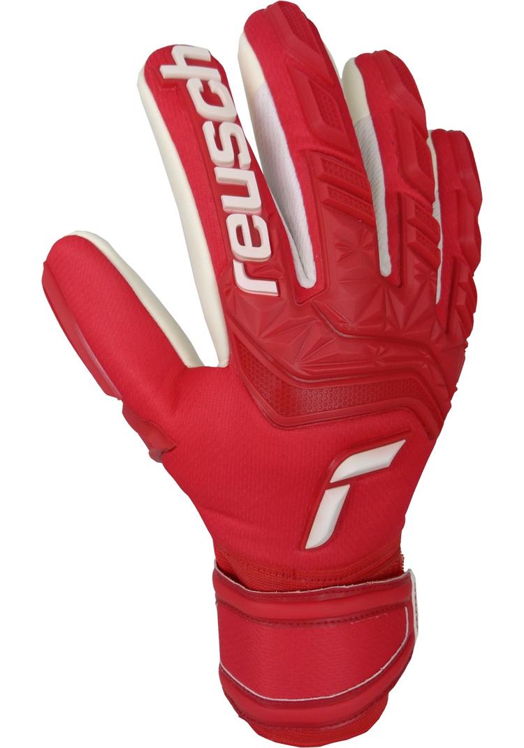 Reusch Reusch Attrakt Freegel Silver Torwarthandschuhe - red / white - 0 | SportScheck