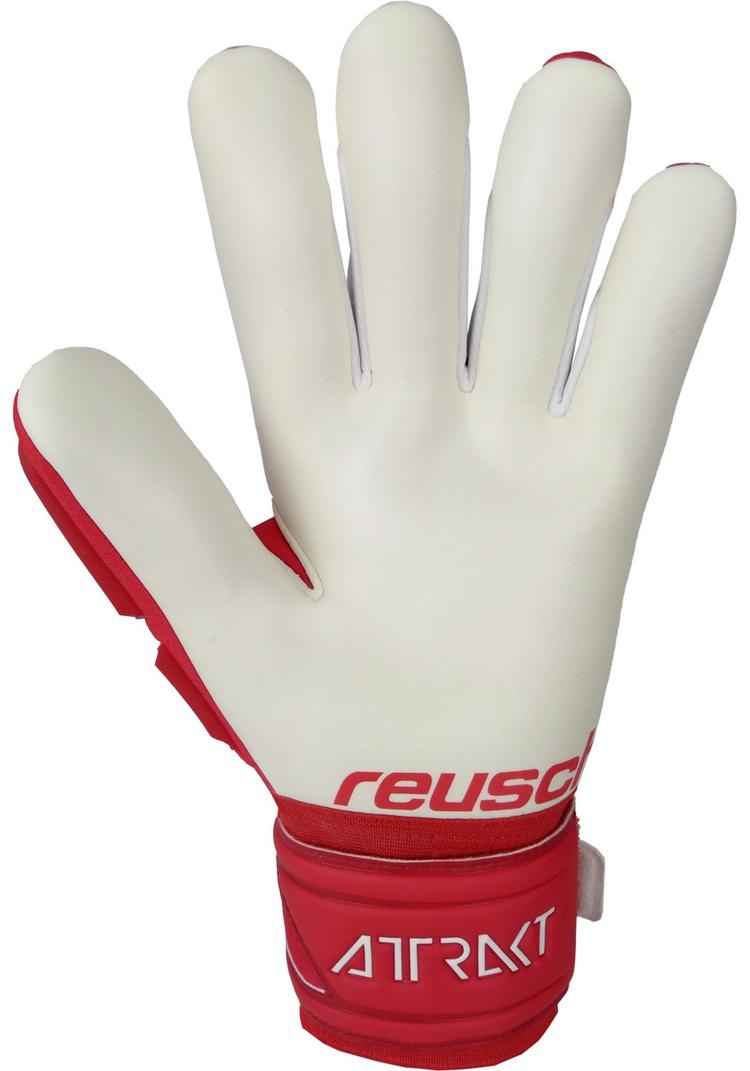 Reusch Reusch Attrakt Freegel Silver Torwarthandschuhe - red / white - 1 | SportScheck