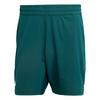 adidas Tennis Climacool Ergo Shorts Funktionsshorts Herren - Aurora Ivy
