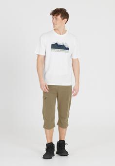 Rückansicht von Whistler Shann Shorts Herren 3161 Dusky Green