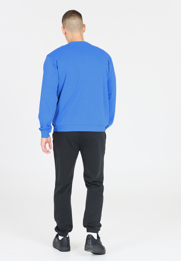 Virtus Virtus Kayden Sweatshirt Herren - 2025 Regatta - 3 | SportScheck