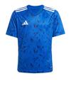 adidas Team Icon 25 Trikot Kids Trikot Kinder - blau