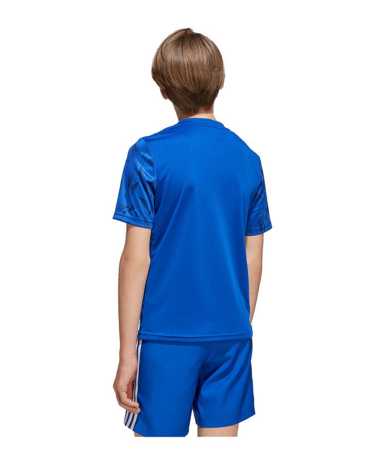 adidas adidas Team Icon 25 Trikot Kids Trikot Kinder - blau - 2 | SportScheck
