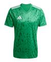 adidas Team Icon 25 Trikot Trikot Herren - gruenweiss