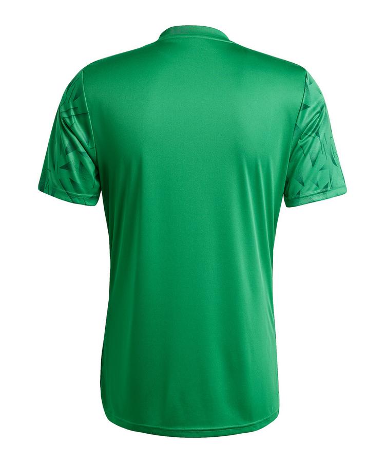 adidas adidas Team Icon 25 Trikot Trikot Herren - gruenweiss - 0 | SportScheck