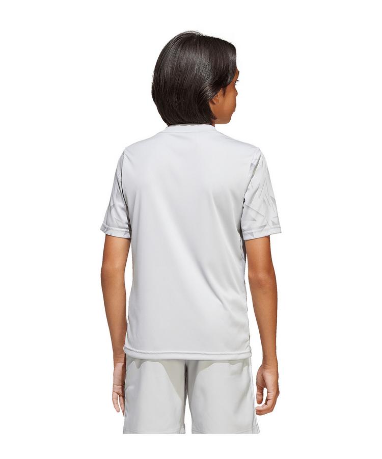 adidas adidas Team Icon 25 Trikot Kids Trikot Kinder - grauweiss - 1 | SportScheck