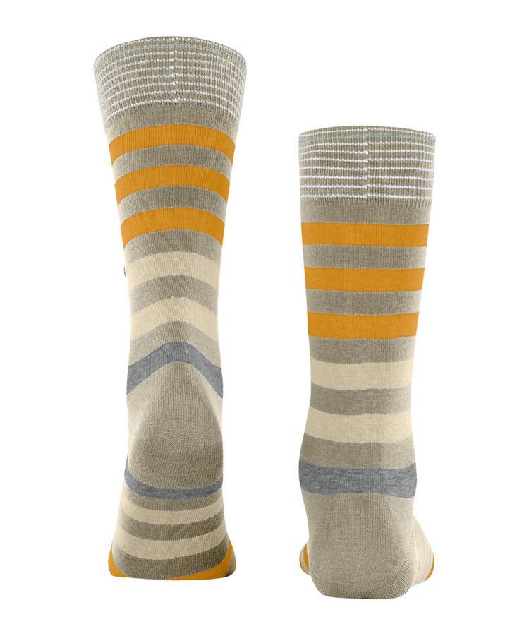 Burlington Burlington Blackpool SO Socken Herren - kitt (4300) - 0 | SportScheck