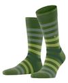 Burlington Blackpool SO Socken Herren - fir green (7656)