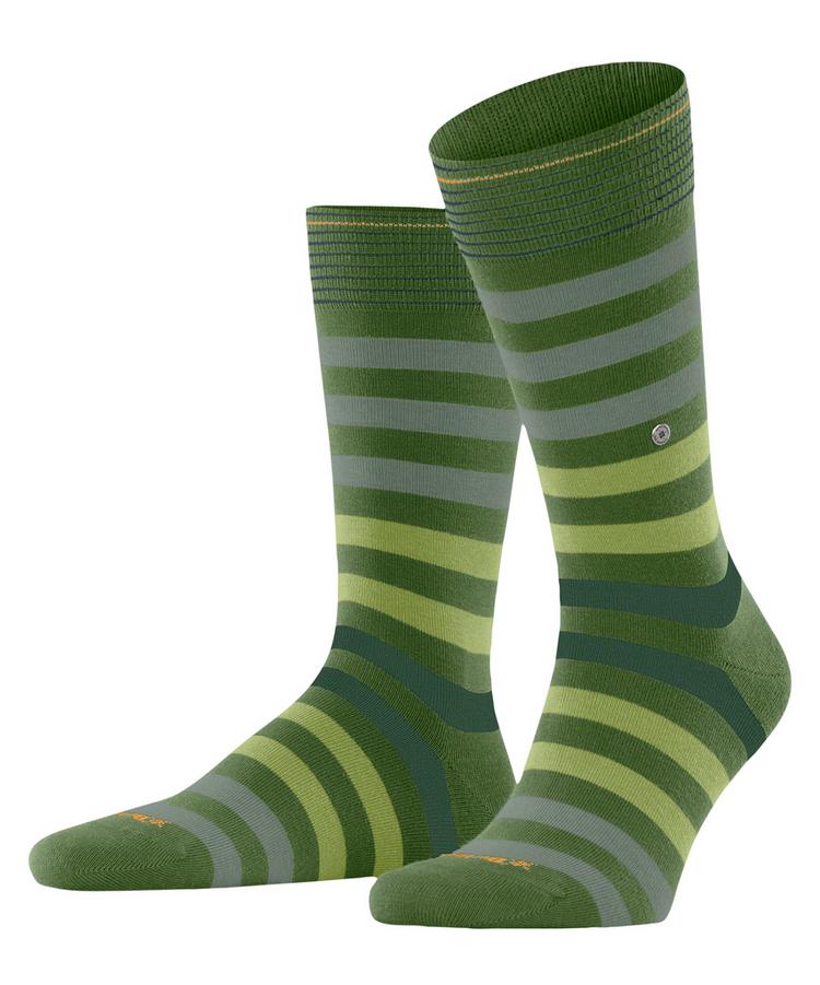 Burlington Burlington Blackpool SO Socken Herren - fir green (7656) - 0 | SportScheck