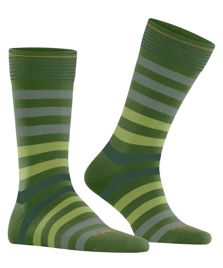 Burlington Burlington Blackpool SO Socken Herren - fir green (7656) - 0 | SportScheck