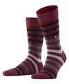 Burlington Blackpool SO Socken Herren - wine (8010)