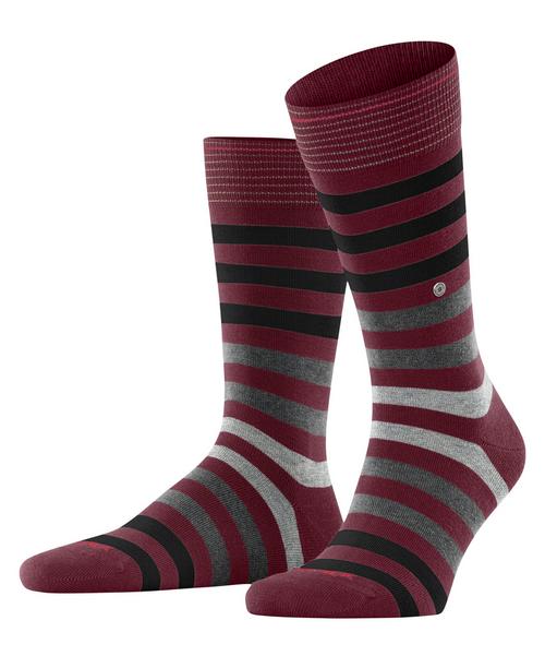 Burlington Blackpool SO Socken Herren