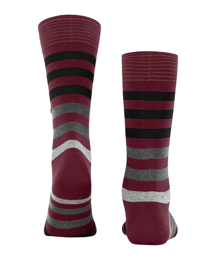 Burlington Burlington Blackpool SO Socken Herren - wine (8010) - 0 | SportScheck