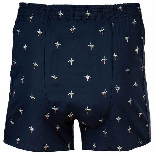 Rückansicht von HAPPY SHORTS Web-Boxershorts Boxershorts Herren Palms