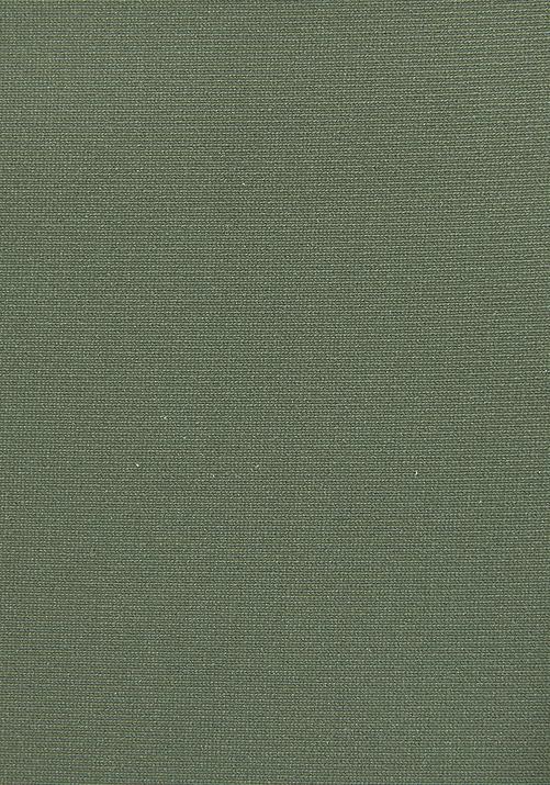 Rückansicht von S.OLIVER Bikini-Hose Bikini Hose Damen olive