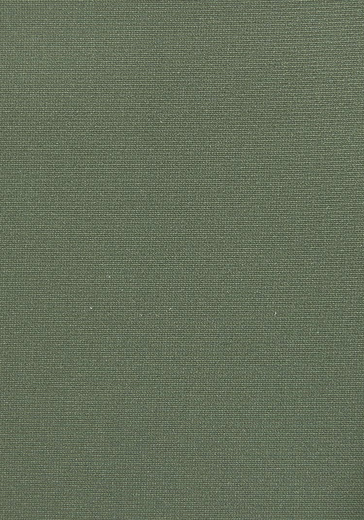 S.OLIVER S.OLIVER Bikini-Hose Bikini Hose Damen - olive - 0 | SportScheck