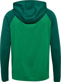 Rückansicht von hummel Funktionssweatshirt Herren JELLY BEAN/EVERGREEN