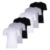 Lacoste T-Shirt T-Shirt Herren - Wei&szlig;/Grau/Schwarz