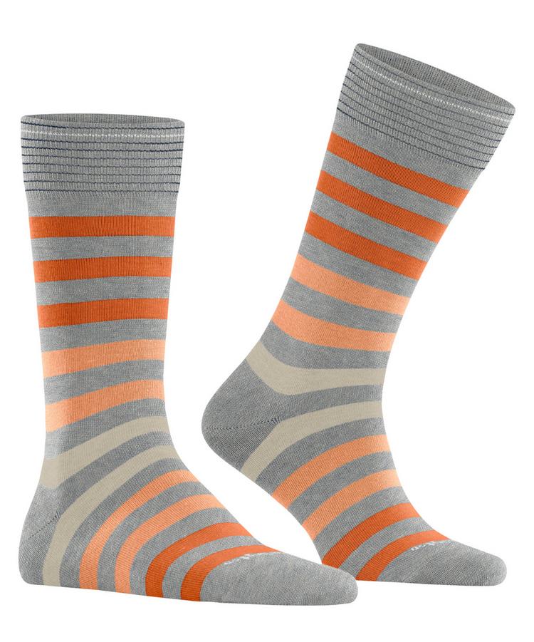 Burlington Burlington Blackpool SO Socken Herren - lunar (3225) - 0 | SportScheck