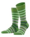Burlington Blackpool SO Socken Herren - fairway (7480)