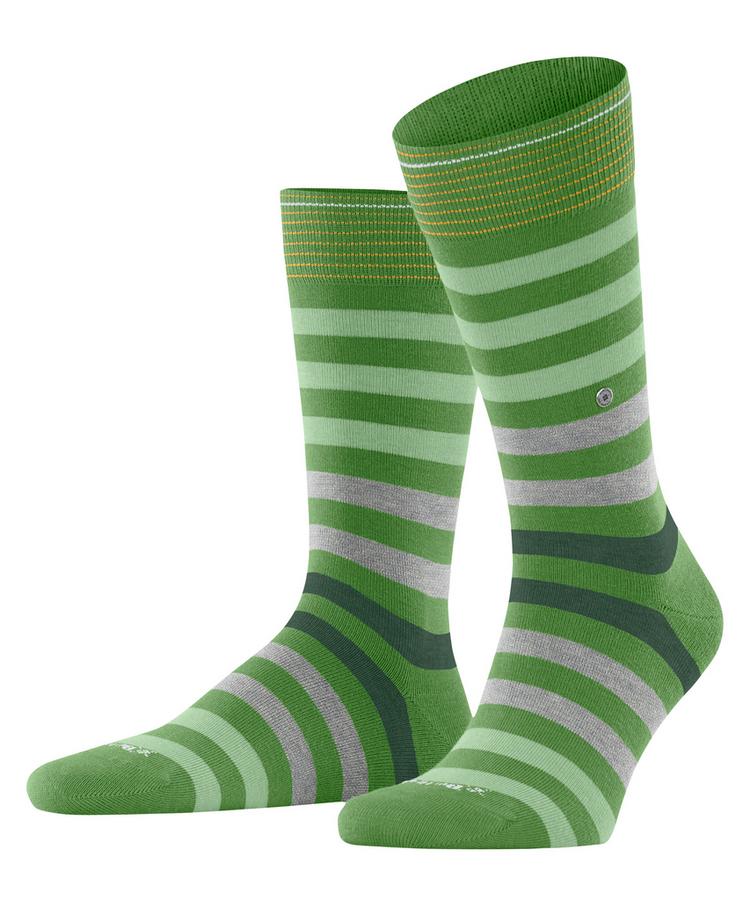 Burlington Burlington Blackpool SO Socken Herren - fairway (7480) - 0 | SportScheck