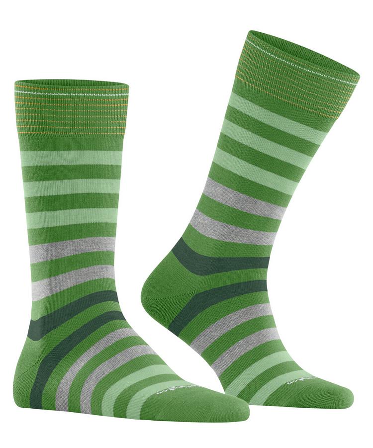 Burlington Burlington Blackpool SO Socken Herren - fairway (7480) - 0 | SportScheck