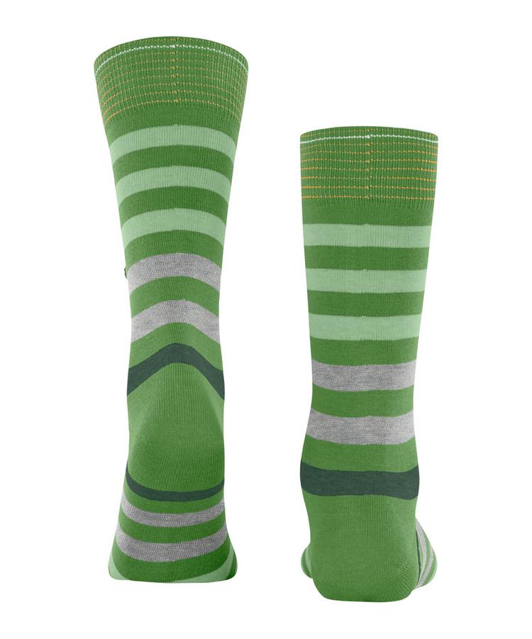 Burlington Burlington Blackpool SO Socken Herren - fairway (7480) - 0 | SportScheck