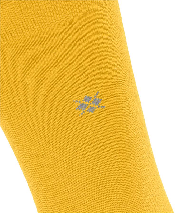 Burlington Burlington Dublin Socken Herren - bee (1393) - 1 | SportScheck