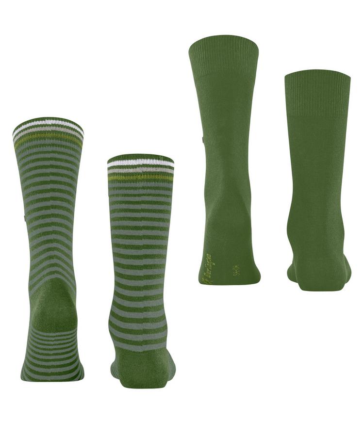 Burlington Burlington Everyday Stripe SO - Mixed 2-Pack Socken Herren - fir green (7656) - 0 | SportScheck