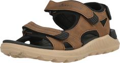 Rückansicht von Whistler Tiberius Outdoorsandalen Herren 1200 Cocoa Brown