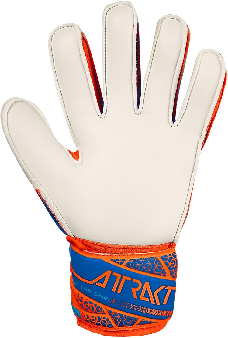 Reusch Reusch Attrakt Solid Junior Torwarthandschuhe - 2290 shocking orange/blue - 4 | SportScheck