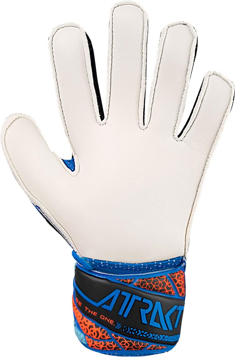 Reusch Reusch Attrakt Solid Junior Torwarthandschuhe - 4467 electric blu/shock. orang - 3 | SportScheck