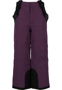 ZigZag Provo Skihose Jungen - 4149 Purple Pennant