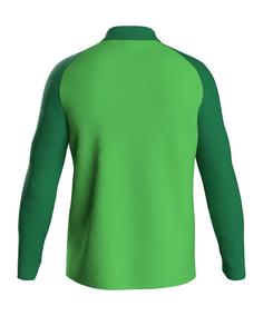 Rückansicht von JAKO Iconic Trainingsjacke Kids Trainingsjacke Kinder gruen