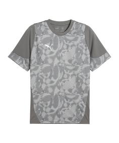 PUMA Trikot Fußballtrikot Herren grau