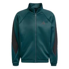 adidas Stadium Trainingsjacke Trainingsanzug Herren Aurora Ivy / Preloved Teal Mel. / Black