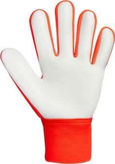 Rückansicht von Reusch Attrakt Starter Solid Junior Torwarthandschuhe 2290 shocking orange/blue