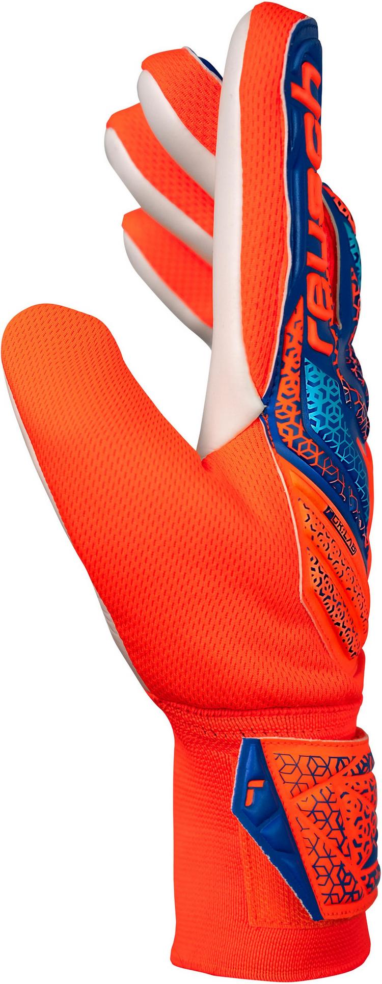Reusch Reusch Attrakt Starter Solid Junior Torwarthandschuhe - 2290 shocking orange/blue - 2 | SportScheck