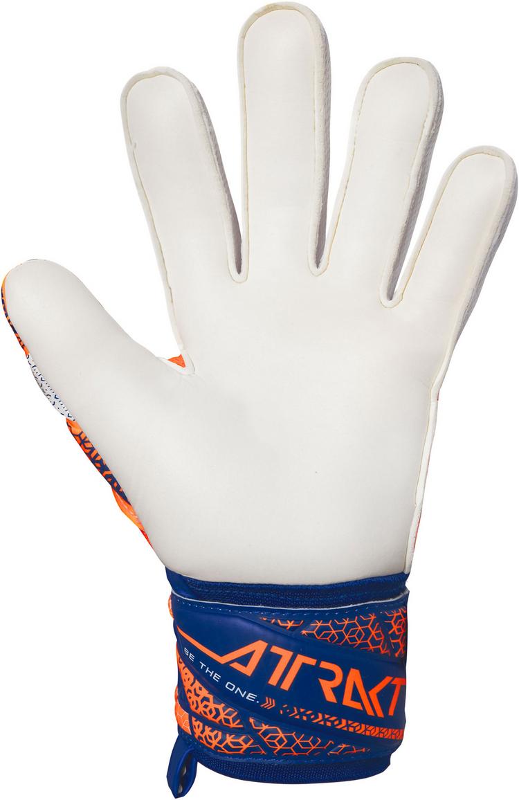 Reusch Reusch Attrakt Silver Torwarthandschuhe - 2500 shock orng/energ blue - 4 | SportScheck
