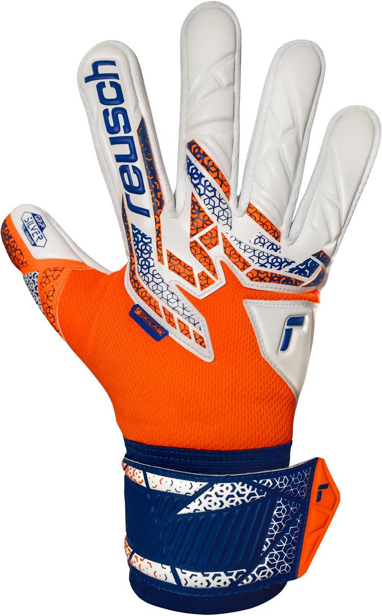 Reusch Reusch Attrakt Silver Torwarthandschuhe - 2500 shock orng/energ blue - 5 | SportScheck