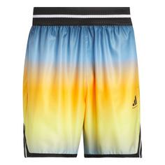 adidas adidas Crazy Lite AOP Short Funktionsshorts Herren Crew Yellow / Clear Sky