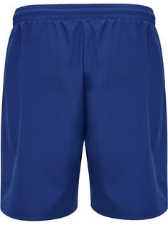 Rückansicht von hummel hmlMOVE GRID WOVEN SHORTS Funktionsshorts Herren SODALITE BLUE