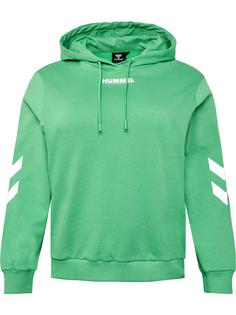 hummel hmlLEGACY WOMAN HOODIE PLUS Hoodie Damen GREEN SPRUCE